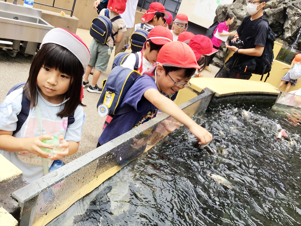 魚に餌やり体験もしました。