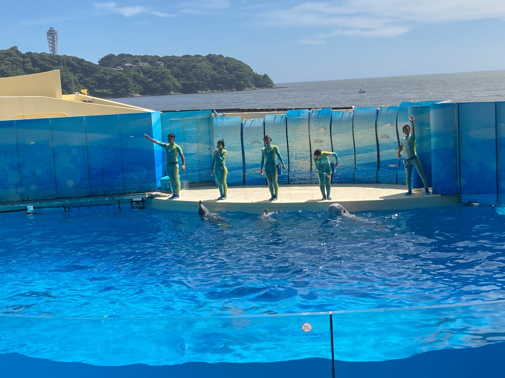 ☆金魚すくいコーナー☆